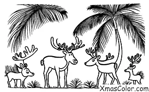 Christmas / Christmas Island: Christmas Island reindeer