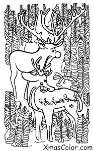 Christmas / Christmas Trees: A reindeer