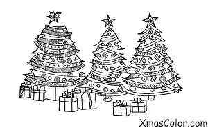 Christmas / DC Christmas: The National Christmas Tree decorated for Christmas